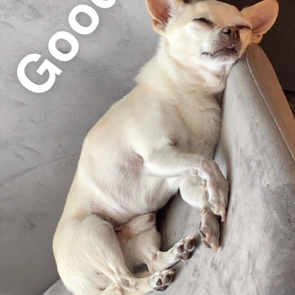 Meet your Posher, Maria - Picture 1 of 1